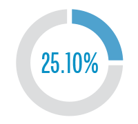 Pie chart showing that in fiscal year 2018-19 IT goods & services from Disabled Veteran Business Enterprises (DVBE) was at 25.10 percent.