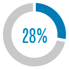 Pie Chart: 28% received a promotion during the program
