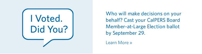 Member-at-Large Election Web Ads