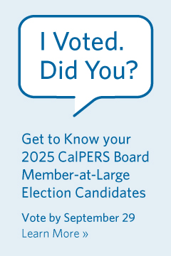 Member-at-Large Election Web Button download file